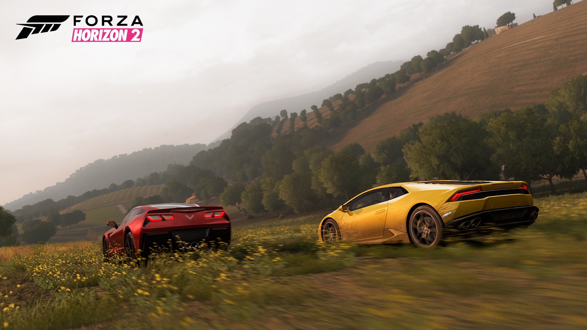 Forza Horizon 2 - Imagen 23